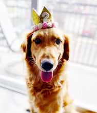 Load image into Gallery viewer, Dog Party Crown, Dog Birthday Party Hat, Party Crown, Birthday Pawty Hat, Dog Birthday Decorations, Dog Mom Gift, Gift for Dog Dog Party Hat