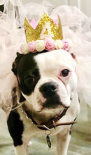 Load image into Gallery viewer, Dog Party Crown, Dog Birthday Party Hat, Party Crown, Birthday Pawty Hat, Dog Birthday Decorations, Dog Mom Gift, Gift for Dog Dog Party Hat