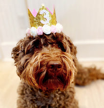 Load image into Gallery viewer, Dog Party Crown, Dog Birthday Party Hat, Party Crown, Birthday Pawty Hat, Dog Birthday Decorations, Dog Mom Gift, Gift for Dog Dog Party Hat