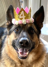 Load image into Gallery viewer, Number Party Crown, Dog Birthday Party Hat, Crown, Birthday Pawty Hat, Dog Birthday Decorations, Dog Mom Gift, Gift for Dog Dog Party Hat