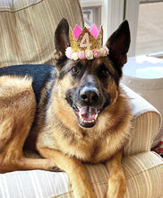 Load image into Gallery viewer, Number Party Crown, Dog Birthday Party Hat, Crown, Birthday Pawty Hat, Dog Birthday Decorations, Dog Mom Gift, Gift for Dog Dog Party Hat