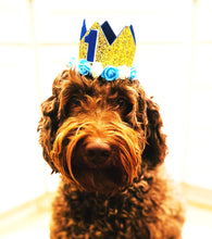 Load image into Gallery viewer, Dog Party Crown, Dog Birthday Party Hat, Party Crown, Birthday Pawty Hat, Dog Birthday Decorations, Dog Mom Gift, Gift for Dog Dog Party Hat
