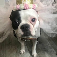 Load image into Gallery viewer, Dog Party Crown, Dog Birthday Party Hat, Party Crown, Birthday Pawty Hat, Dog Birthday Decorations, Dog Mom Gift, Gift for Dog Dog Party Hat