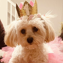 Load image into Gallery viewer, Dog Party Crown, Dog Birthday Party Hat, Party Crown, Birthday Pawty Hat, Dog Birthday Decorations, Dog Mom Gift, Gift for Dog Dog Party Hat
