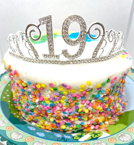 19th Birthday tiara, 19 Birthday Headband, 19 Birthday Party Tiara, 19th Birthday Crown, 19 Birthday Party Decoration, 19th gift!