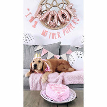 Load image into Gallery viewer, Dog Party Crown, Dog Birthday Party Hat, Party Crown, Birthday Pawty Hat, Dog Birthday Decorations, Dog Mom Gift, Gift for Dog Dog Party Hat