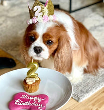 Load image into Gallery viewer, Dog Party Crown, Dog Birthday Party Hat, Party Crown, Birthday Pawty Hat, Dog Birthday Decorations, Dog Mom Gift, Gift for Dog Dog Party Hat