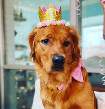 Load image into Gallery viewer, Dog Party Crown, Dog Birthday Party Hat, Party Crown, Birthday Pawty Hat, Dog Birthday Decorations, Dog Mom Gift, Gift for Dog Dog Party Hat