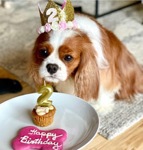 Load image into Gallery viewer, Dog Party Crown, Dog Birthday Party Hat, Party Crown, Birthday Pawty Hat, Dog Birthday Decorations, Dog Mom Gift, Gift for Dog Dog Party Hat