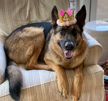 Load image into Gallery viewer, Dog Party Crown, Dog Birthday Party Hat, Party Crown, Birthday Pawty Hat, Dog Birthday Decorations, Dog Mom Gift, Gift for Dog Dog Party Hat
