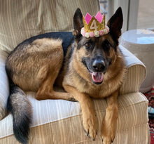 Load image into Gallery viewer, Dog Party Crown, Dog Birthday Party Hat, Party Crown, Birthday Pawty Hat, Dog Birthday Decorations, Dog Mom Gift, Gift for Dog Dog Party Hat
