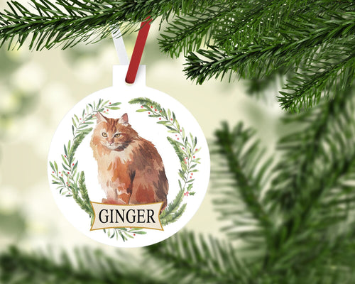 Orange cat Ornament. Rescue Cat Gift! Personalized Fluffy cat lover gift! House cat Present! Cat Mom Gift! Custom Christmas Tree Ornament